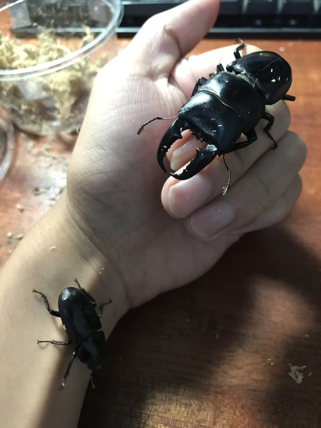 «ö¦¹¦b·sµøµ¡ÂsÄý¹Ï¤ù