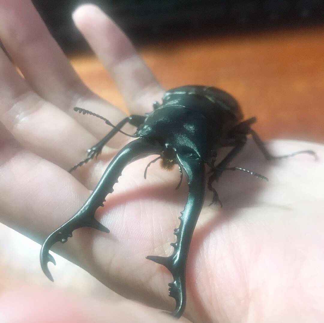 «ö¦¹¦b·sµøµ¡ÂsÄý¹Ï¤ù