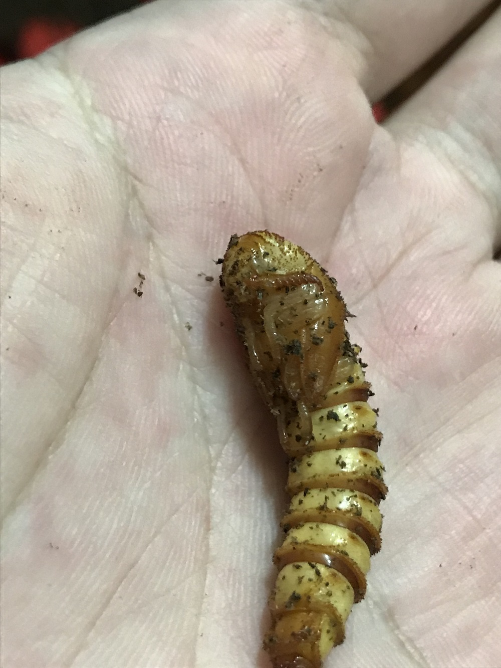 «ö¦¹¦b·sµøµ¡ÂsÄý¹Ï¤ù