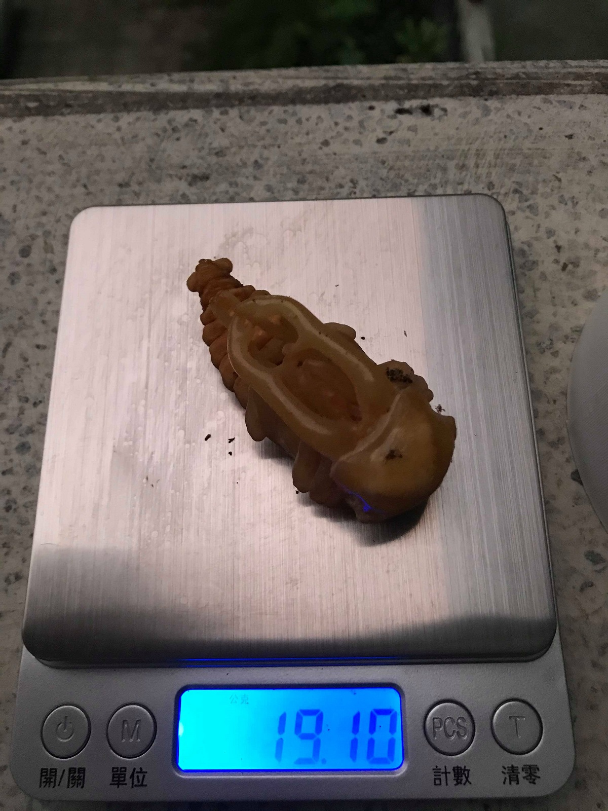 «ö¦¹¦b·sµøµ¡ÂsÄý¹Ï¤ù