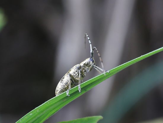 «ö¦¹¦b·sµøµ¡ÂsÄý¹Ï¤ù