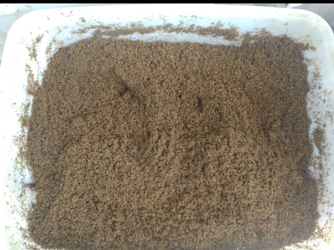 «ö¦¹¦b·sµøµ¡ÂsÄý¹Ï¤ù