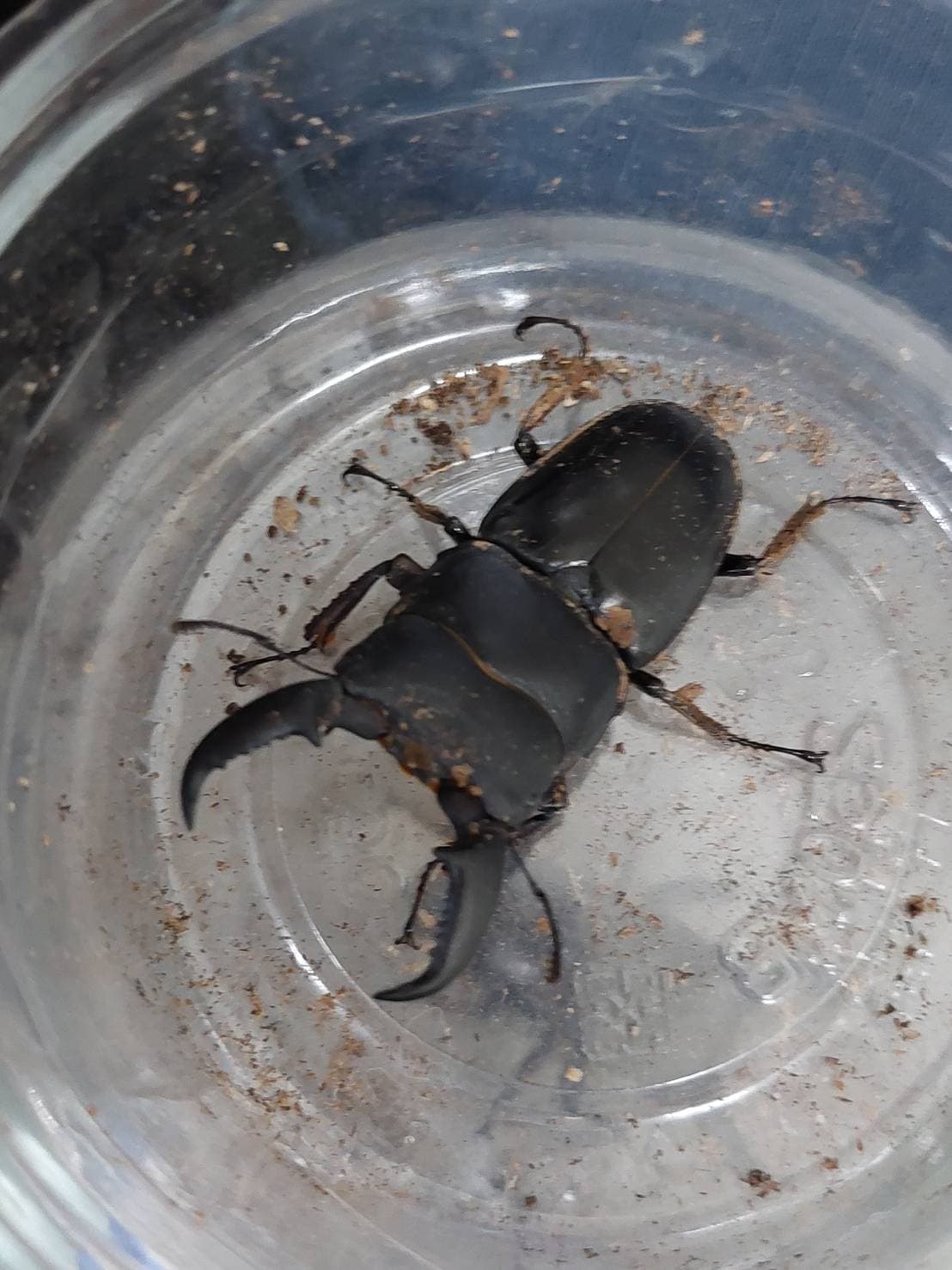 «ö¦¹¦b·sµøµ¡ÂsÄý¹Ï¤ù