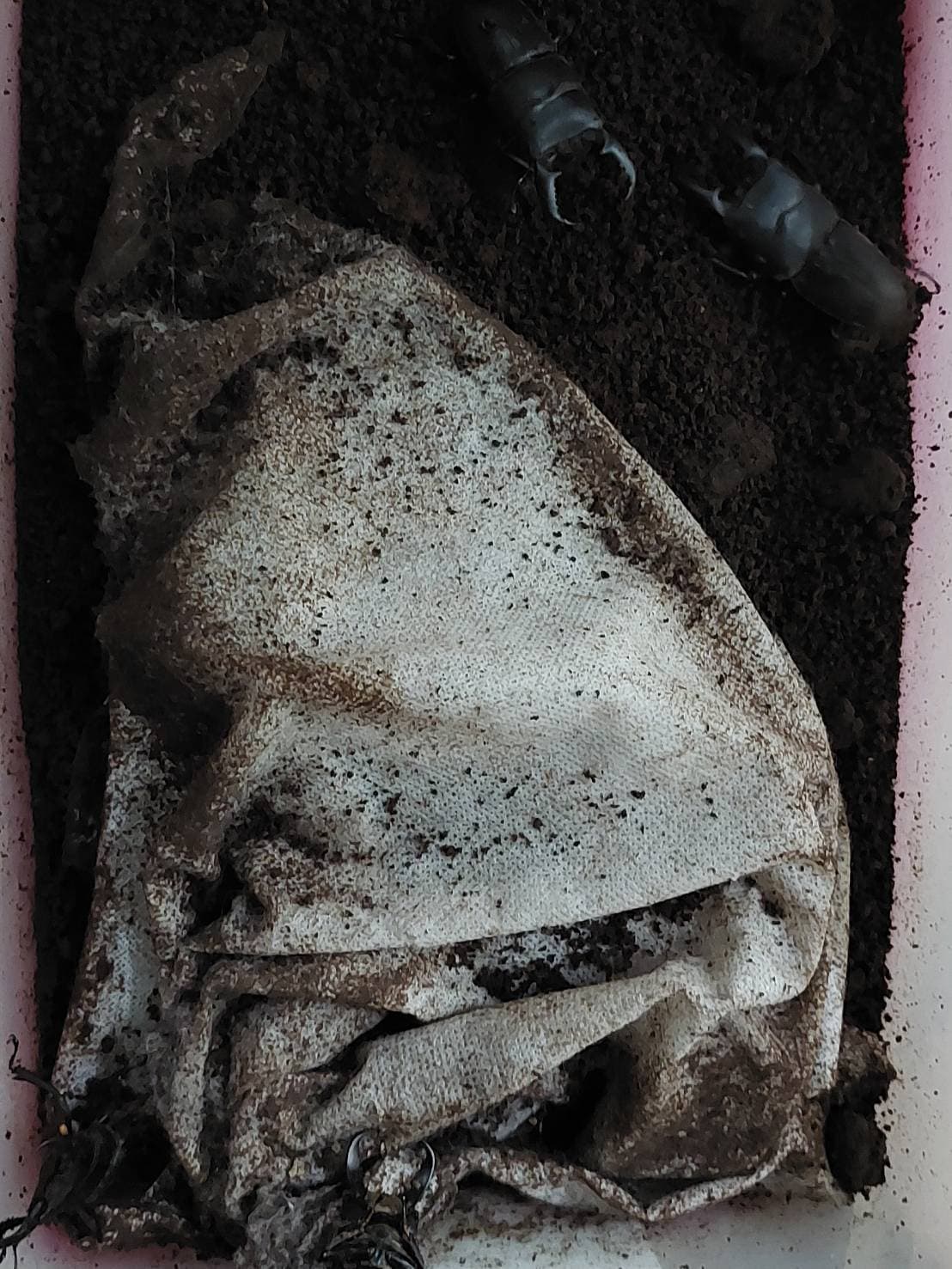 «ö¦¹¦b·sµøµ¡ÂsÄý¹Ï¤ù