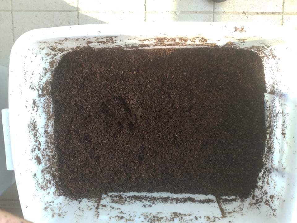 «ö¦¹¦b·sµøµ¡ÂsÄý¹Ï¤ù