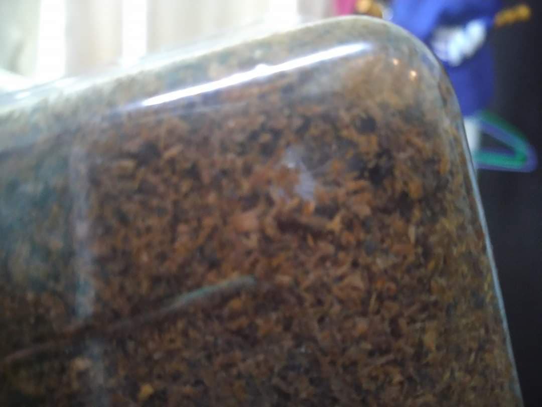 «ö¦¹¦b·sµøµ¡ÂsÄý¹Ï¤ù