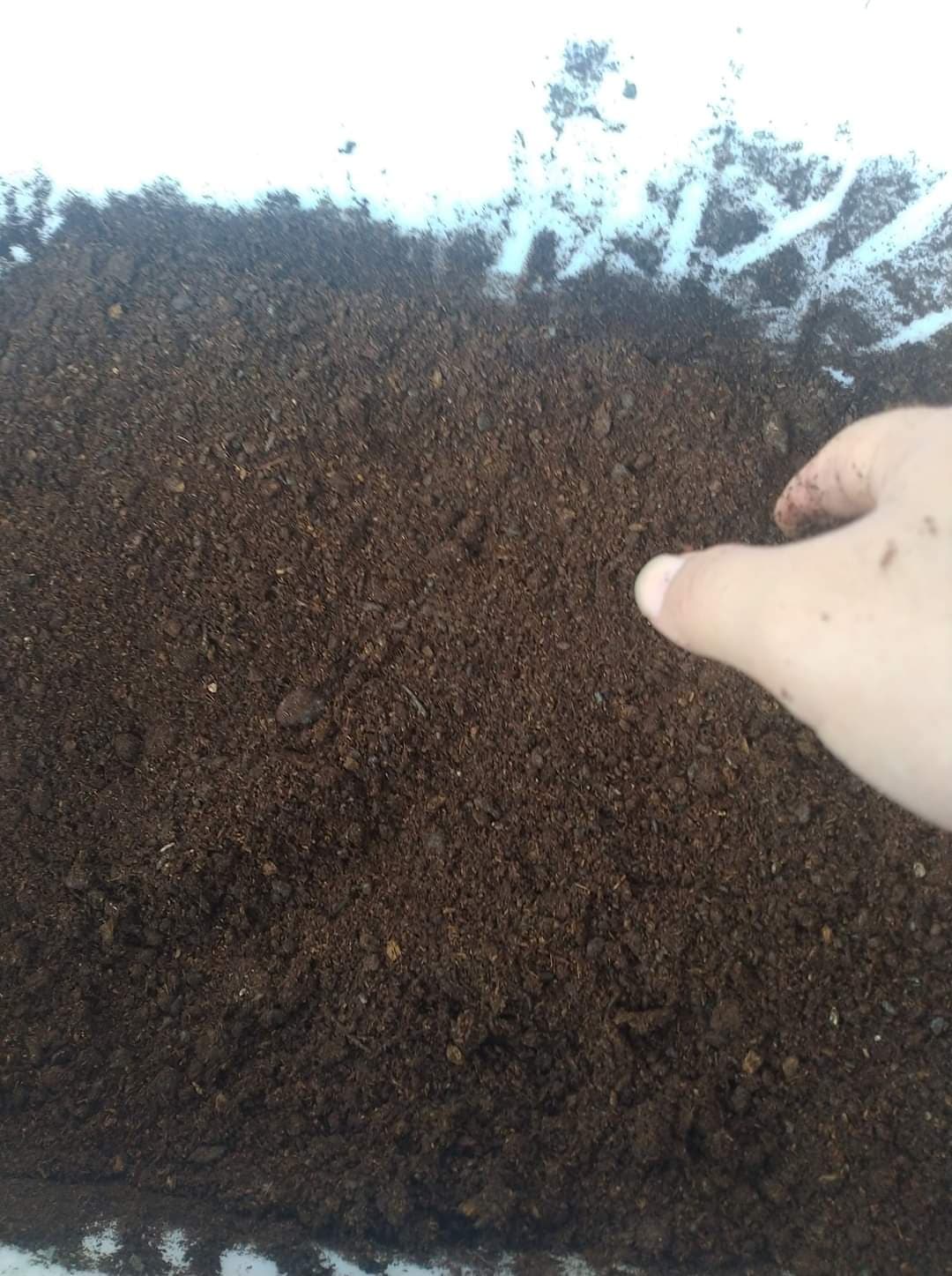 «ö¦¹¦b·sµøµ¡ÂsÄý¹Ï¤ù