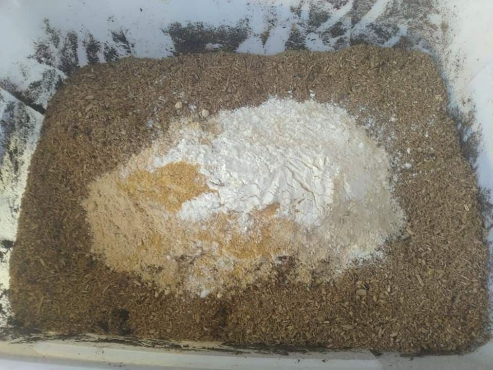 «ö¦¹¦b·sµøµ¡ÂsÄý¹Ï¤ù