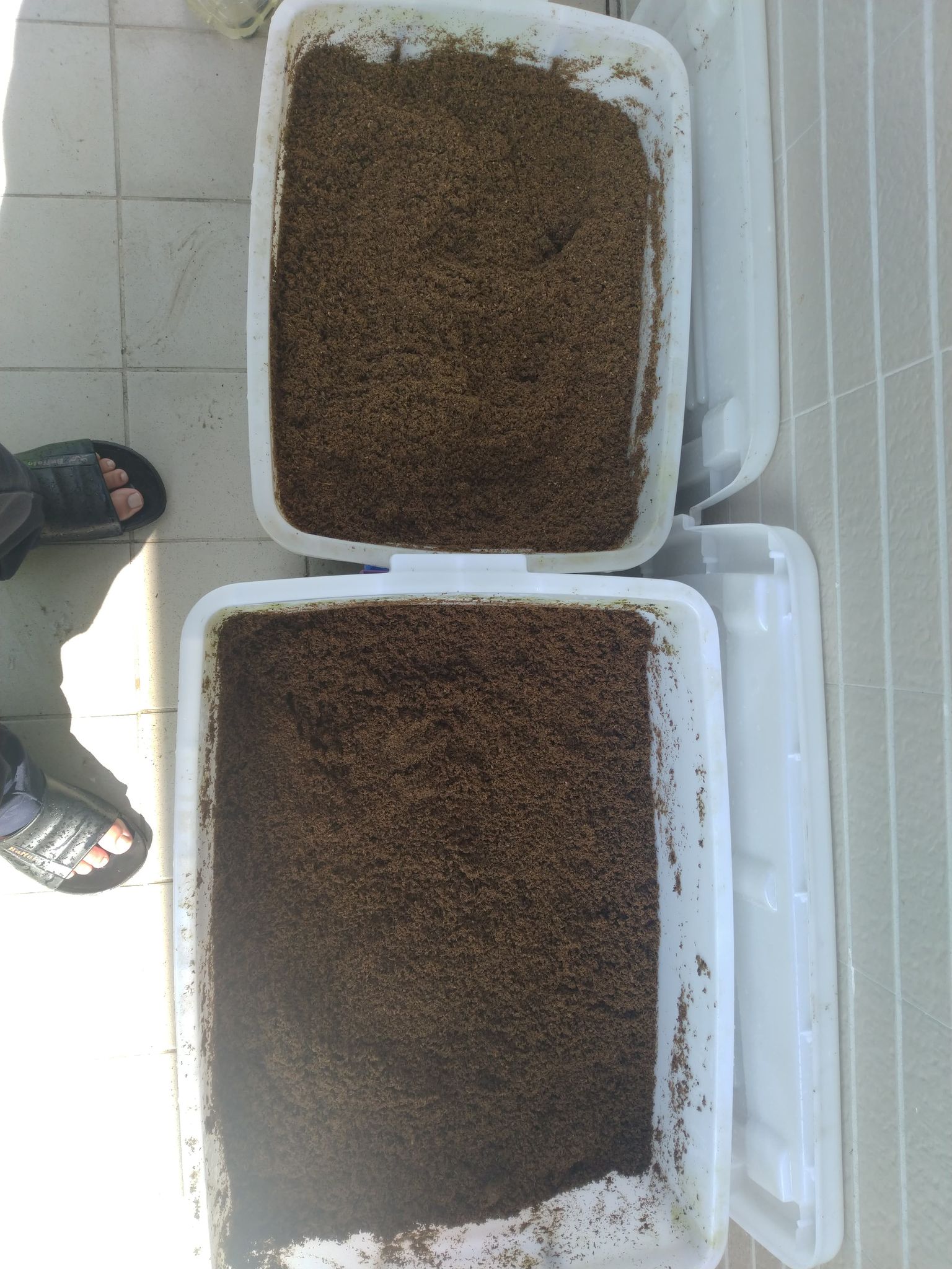 «ö¦¹¦b·sµøµ¡ÂsÄý¹Ï¤ù