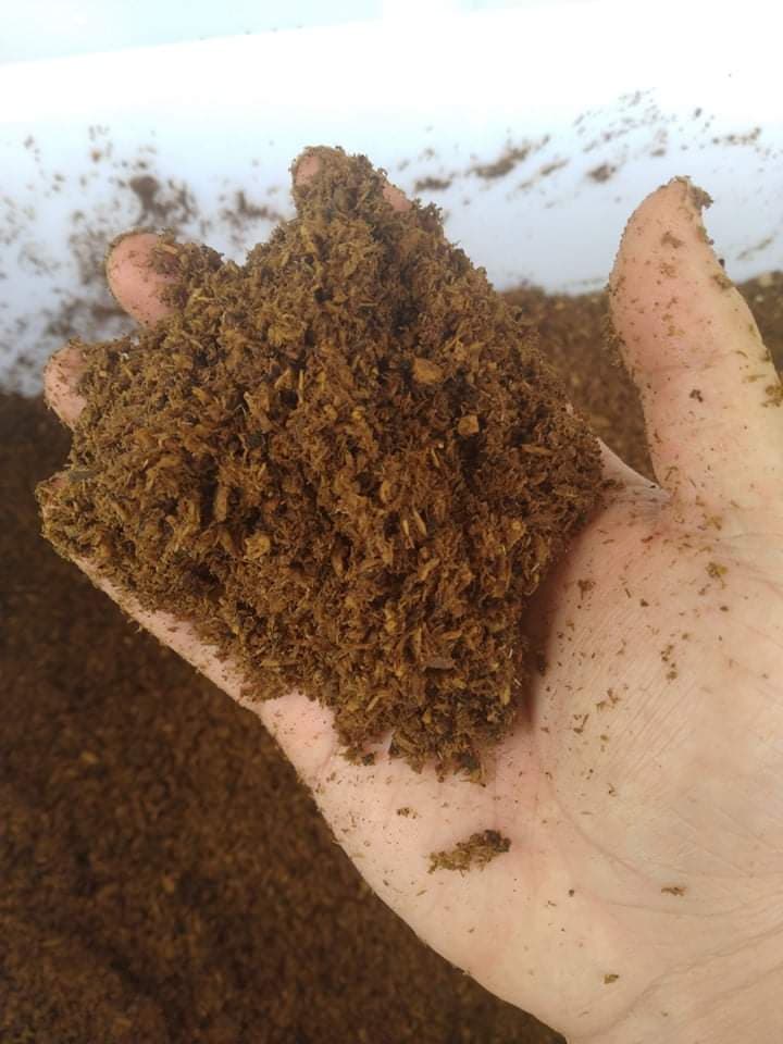 «ö¦¹¦b·sµøµ¡ÂsÄý¹Ï¤ù