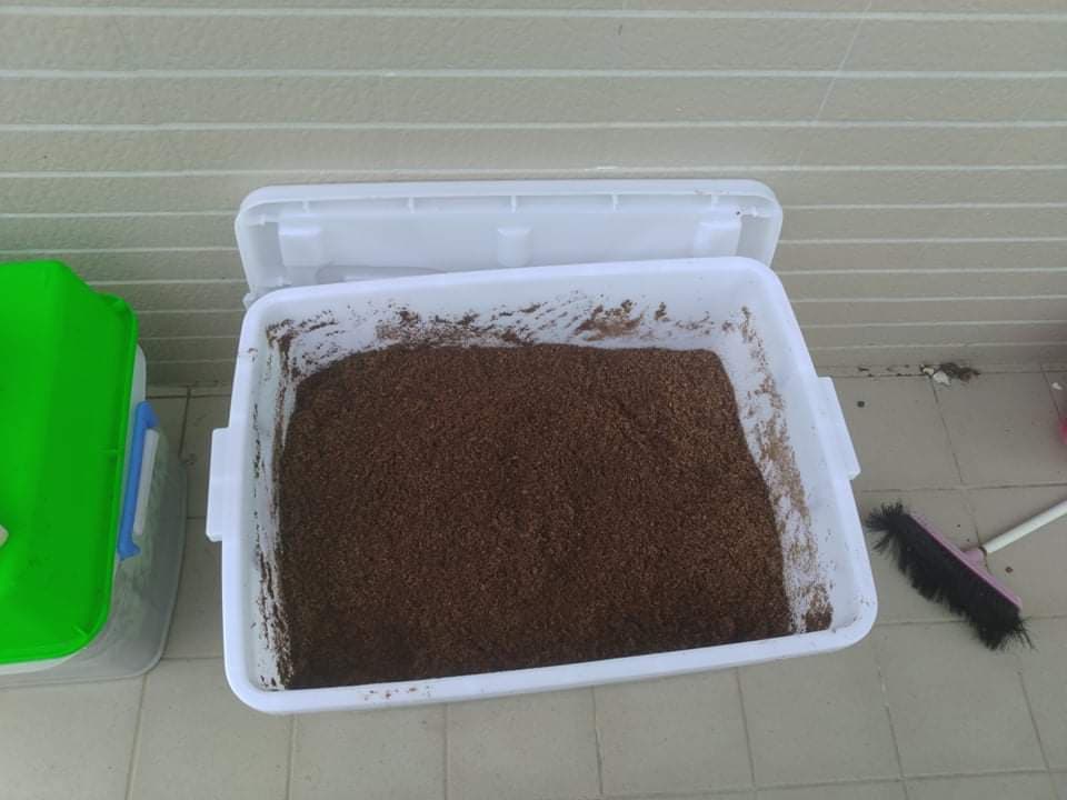 «ö¦¹¦b·sµøµ¡ÂsÄý¹Ï¤ù