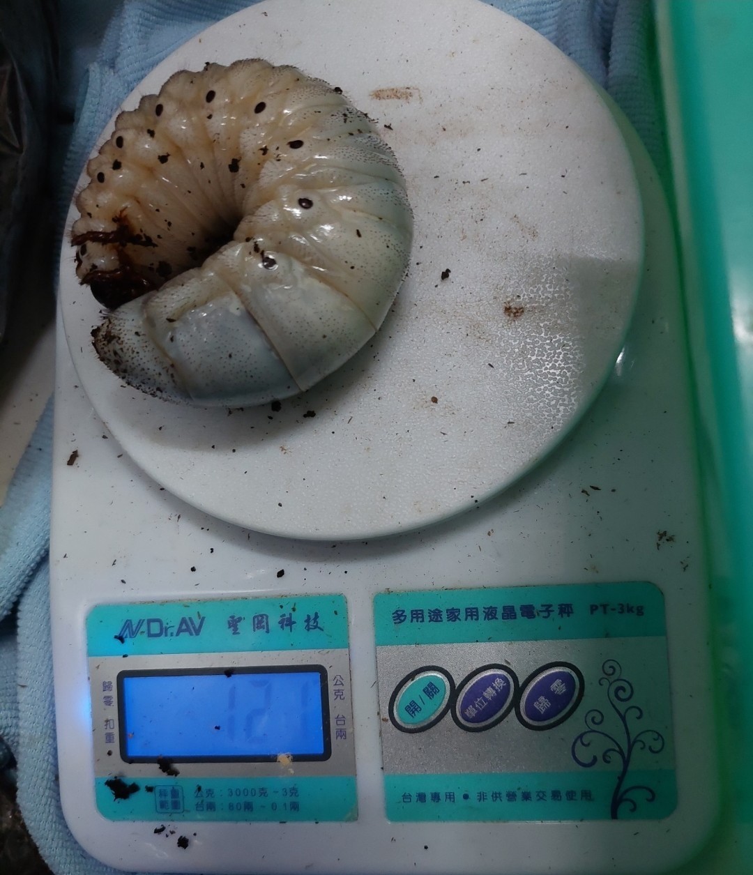 «ö¦¹¦b·sµøµ¡ÂsÄý¹Ï¤ù