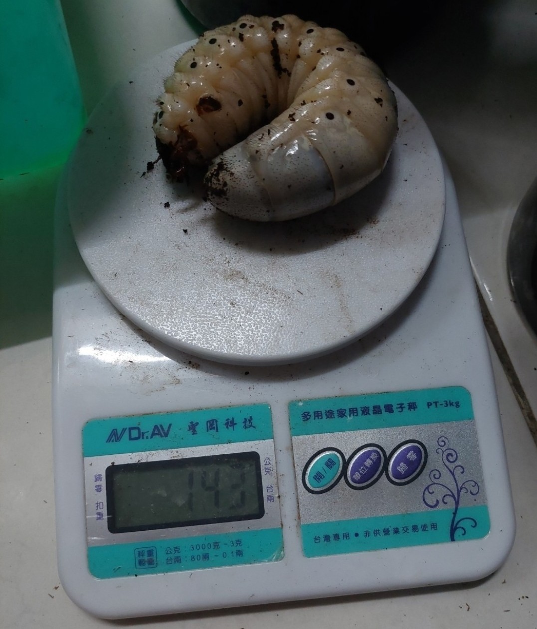 «ö¦¹¦b·sµøµ¡ÂsÄý¹Ï¤ù