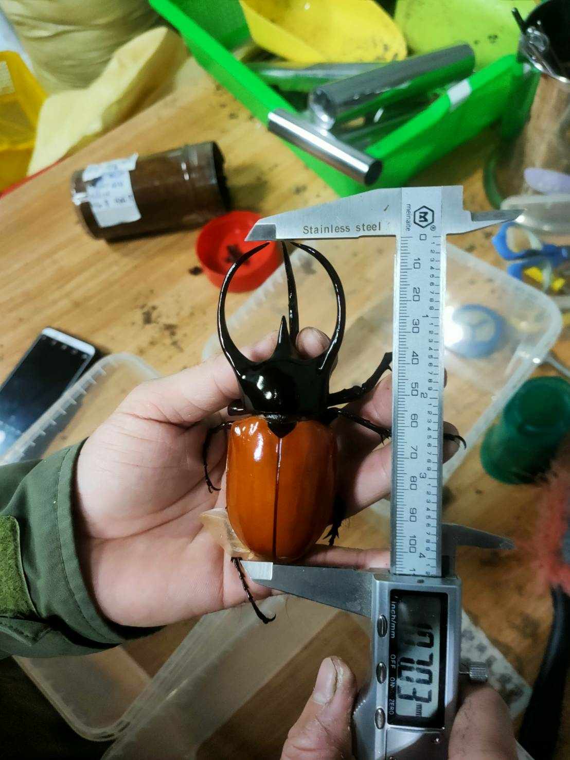 «ö¦¹¦b·sµøµ¡ÂsÄý¹Ï¤ù
