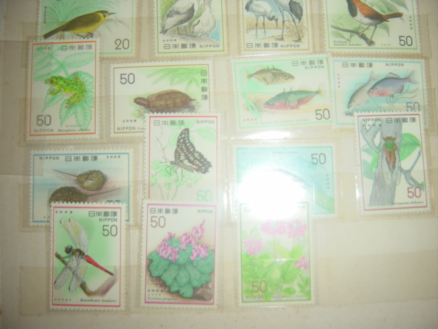 按此在新視窗瀏覽圖片