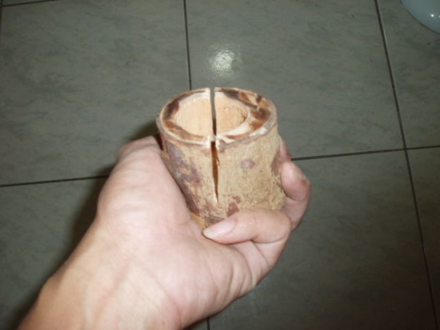 «ö¦¹¦b·sµøµ¡ÂsÄý¹Ï¤ù