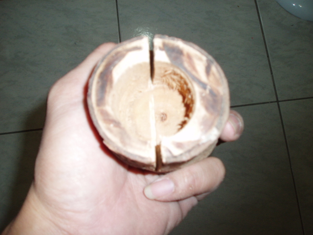 «ö¦¹¦b·sµøµ¡ÂsÄý¹Ï¤ù