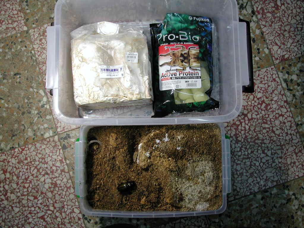 按此在新視窗瀏覽圖片