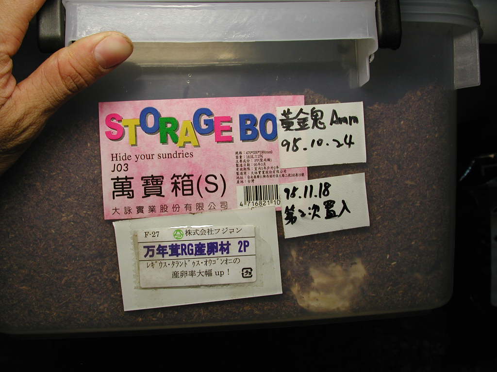 按此在新視窗瀏覽圖片