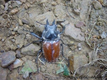 按此在新視窗瀏覽圖片