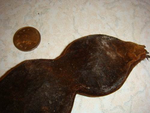 «ö¦¹¦b·sµøµ¡ÂsÄý¹Ï¤ù