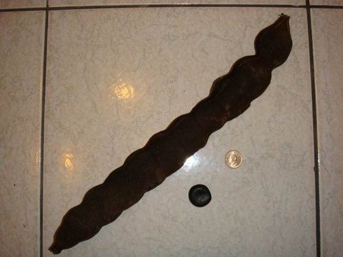 «ö¦¹¦b·sµøµ¡ÂsÄý¹Ï¤ù