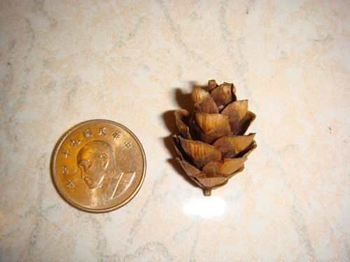 «ö¦¹¦b·sµøµ¡ÂsÄý¹Ï¤ù