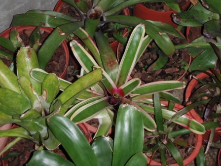 «ö¦¹¦b·sµøµ¡ÂsÄý¹Ï¤ù