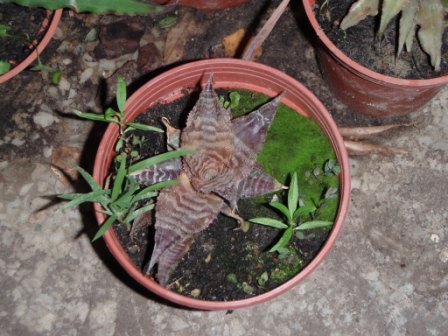 «ö¦¹¦b·sµøµ¡ÂsÄý¹Ï¤ù