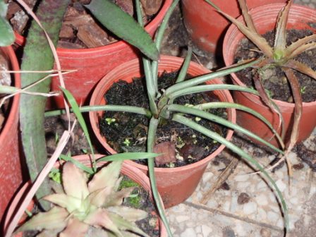 «ö¦¹¦b·sµøµ¡ÂsÄý¹Ï¤ù