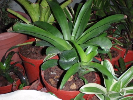 «ö¦¹¦b·sµøµ¡ÂsÄý¹Ï¤ù