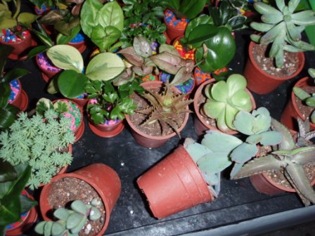 «ö¦¹¦b·sµøµ¡ÂsÄý¹Ï¤ù