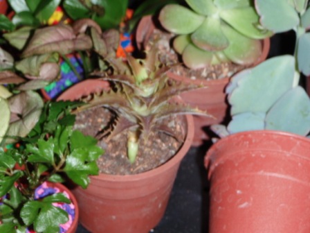 «ö¦¹¦b·sµøµ¡ÂsÄý¹Ï¤ù