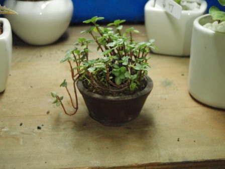 «ö¦¹¦b·sµøµ¡ÂsÄý¹Ï¤ù