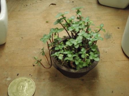 «ö¦¹¦b·sµøµ¡ÂsÄý¹Ï¤ù