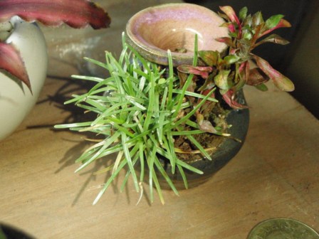 «ö¦¹¦b·sµøµ¡ÂsÄý¹Ï¤ù