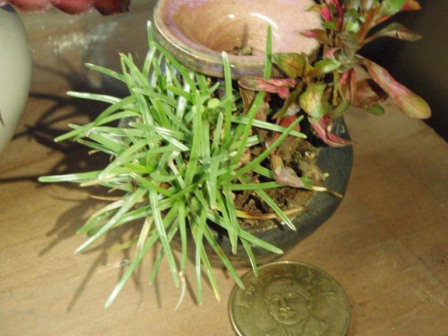 «ö¦¹¦b·sµøµ¡ÂsÄý¹Ï¤ù