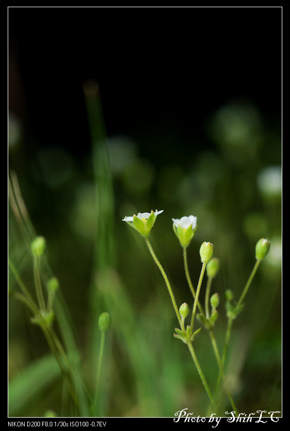 «ö¦¹¦b·sµøµ¡ÂsÄý¹Ï¤ù