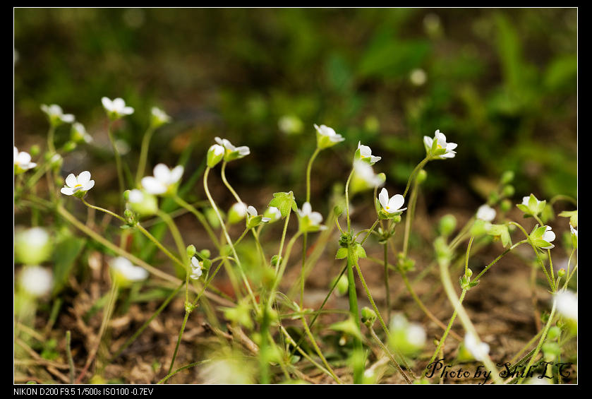 «ö¦¹¦b·sµøµ¡ÂsÄý¹Ï¤ù