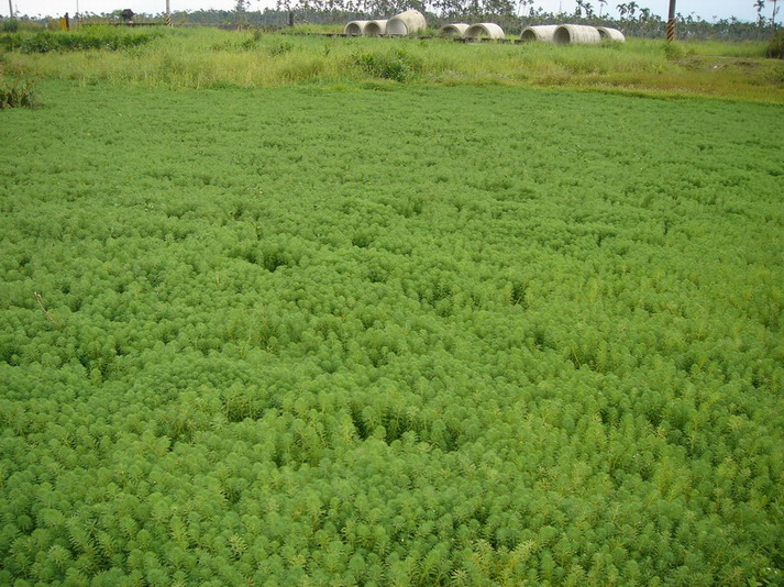 «ö¦¹¦b·sµøµ¡ÂsÄý¹Ï¤ù