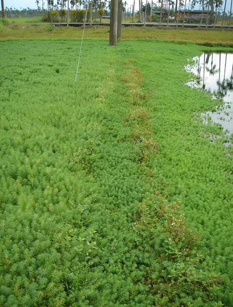 «ö¦¹¦b·sµøµ¡ÂsÄý¹Ï¤ù