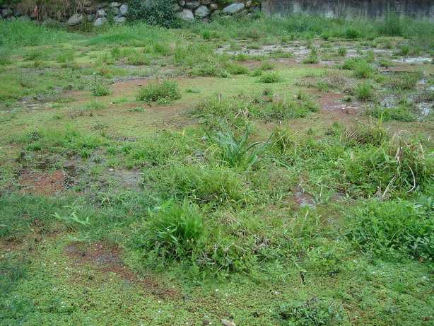 «ö¦¹¦b·sµøµ¡ÂsÄý¹Ï¤ù