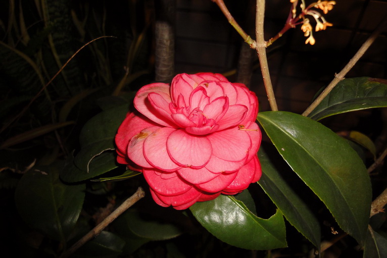 «ö¦¹¦b·sµøµ¡ÂsÄý¹Ï¤ù