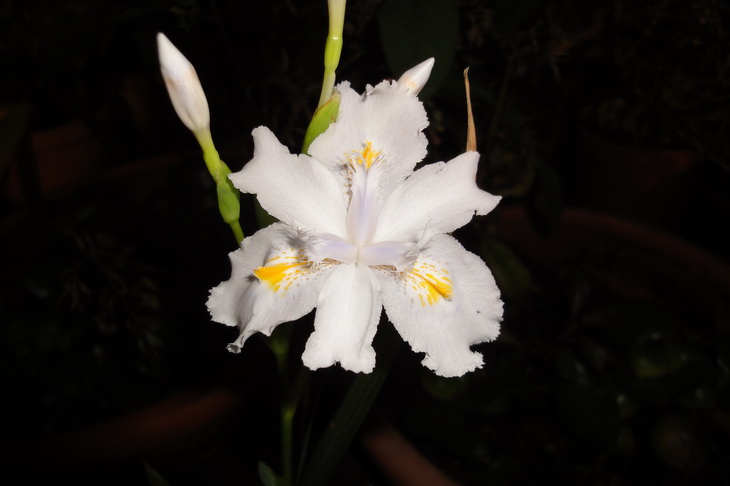 «ö¦¹¦b·sµøµ¡ÂsÄý¹Ï¤ù