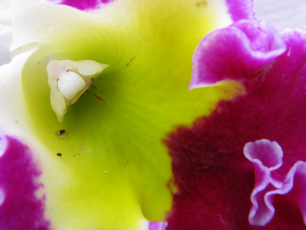 «ö¦¹¦b·sµøµ¡ÂsÄý¹Ï¤ù