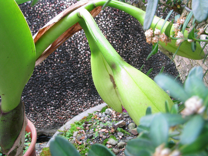 «ö¦¹¦b·sµøµ¡ÂsÄý¹Ï¤ù