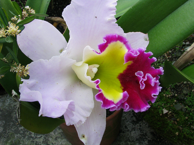 «ö¦¹¦b·sµøµ¡ÂsÄý¹Ï¤ù