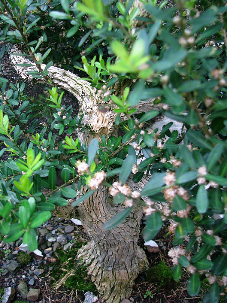 «ö¦¹¦b·sµøµ¡ÂsÄý¹Ï¤ù