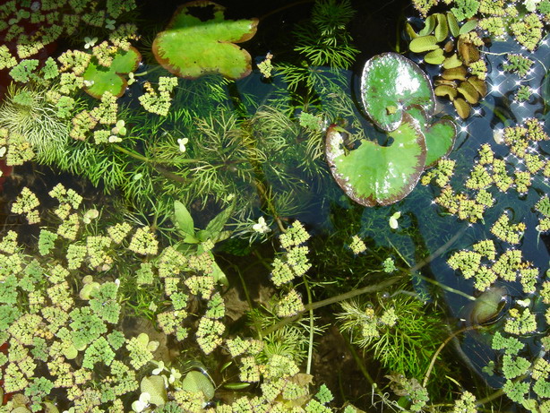 «ö¦¹¦b·sµøµ¡ÂsÄý¹Ï¤ù