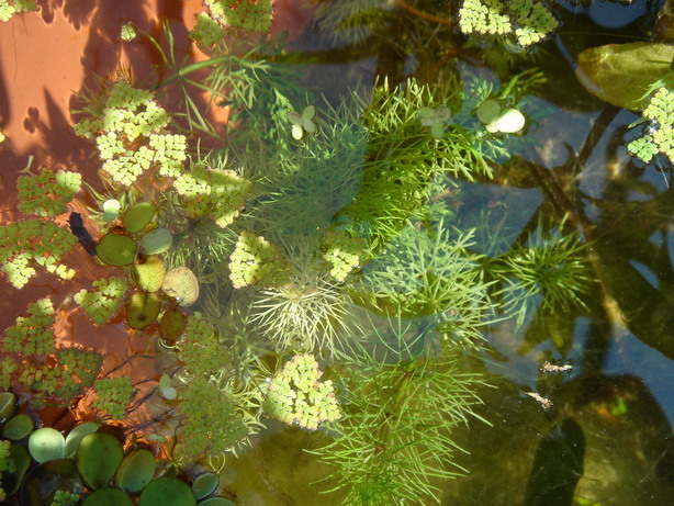 «ö¦¹¦b·sµøµ¡ÂsÄý¹Ï¤ù